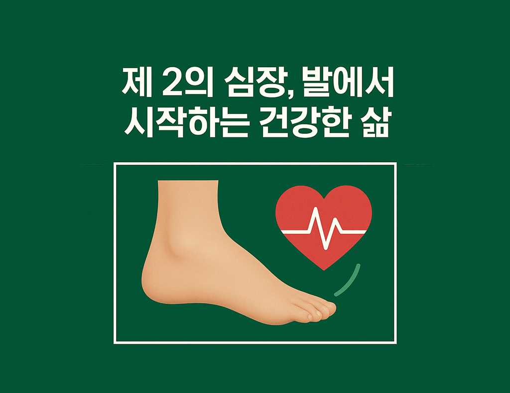 이미지 2