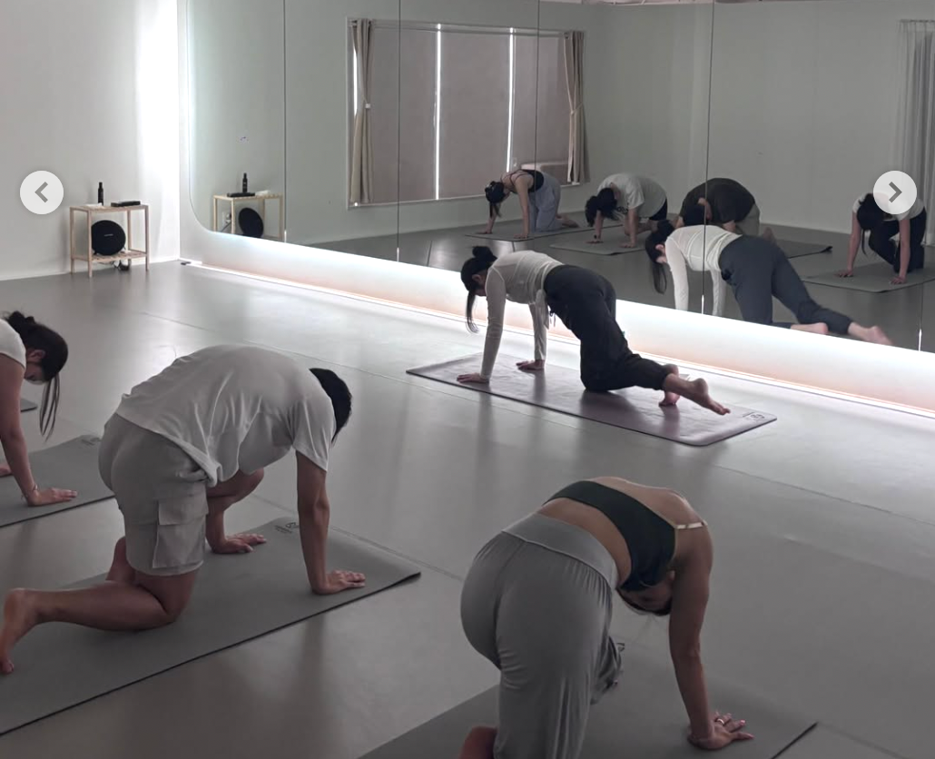 이미지 3