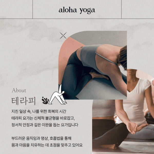 입문자를 위한 교정 테라피 & 빈야사 요가